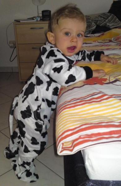 Bild zu Mein kleines Hündchen - Baby Forum - Allgemeine Themen