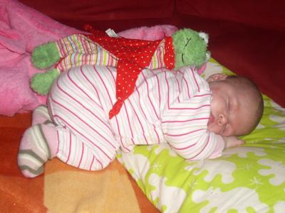 Bild zu Mein kleiner Brüllkäfer! - Baby Forum - Allgemeine Themen