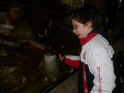 Bild zu Und hier dressiert er einen Pinguin *g* - Baby Forum - Allgemeine Themen