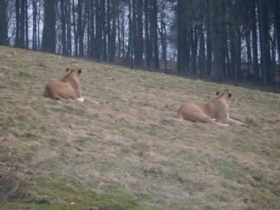 Bild zu Keks - Baby Forum - Allgemeine Themen