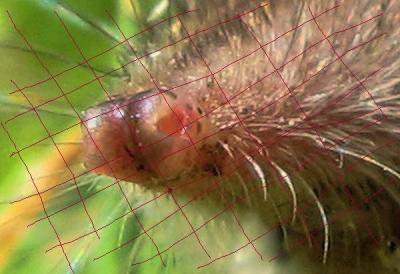 Bild zu jeromes - Baby Forum - Allgemeine Themen