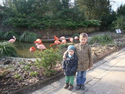 Bild zu Geschwisterliebe :o) - Baby Forum - Allgemeine Themen