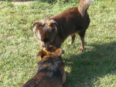 Bild zu EPddWnb Wenn der Mann seiner Angebeteten zu Füßen liegt - Baby Forum - Allgemeine Themen