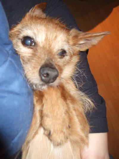 Bild zu nur mal so - Baby Forum - Allgemeine Themen