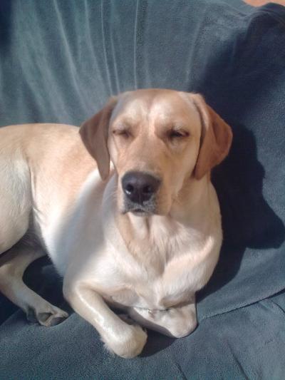 Bild zu grad fast umgekippt :o( - Baby Forum - Allgemeine Themen