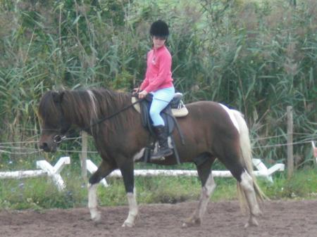 Bild zu