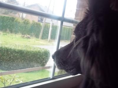 Bild zu Mein Hund... - Baby Forum - Allgemeine Themen