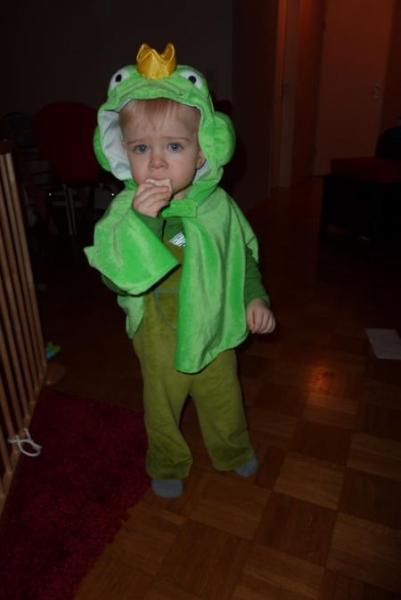 Bild zu