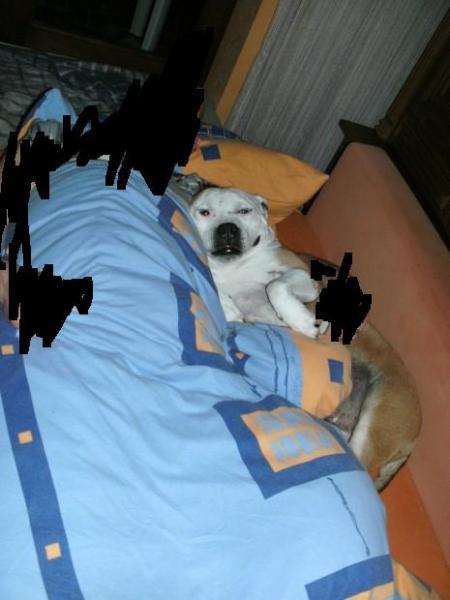 Bild zu 