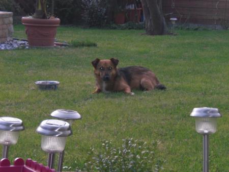 Bild zu