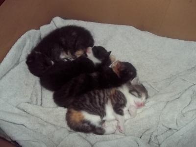 Bild zu Guckt mal... - Baby Forum - Allgemeine Themen
