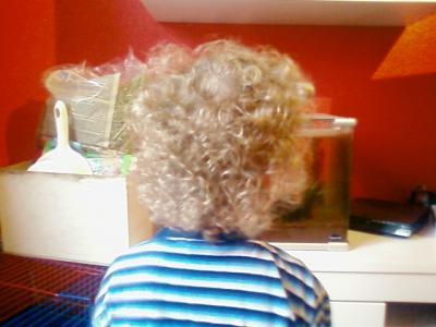 Bild zu hab ich euch shcon mal mein lockenkof gezeigt?? - Baby Forum - Allgemeine Themen