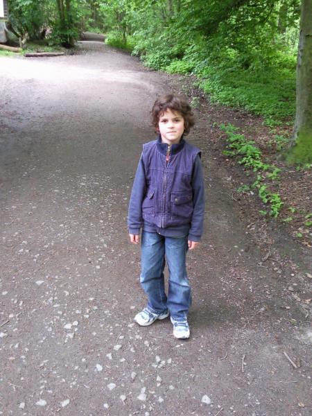 Bild zu