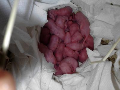 Bild zu @Lieblingsmiss - Baby Forum - Allgemeine Themen