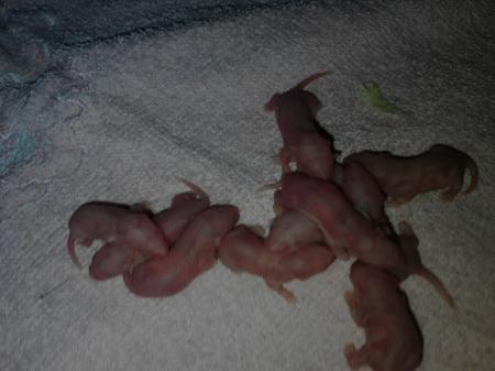 Bild zu