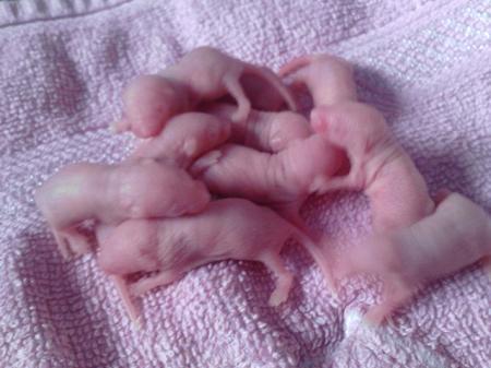 Bild zu