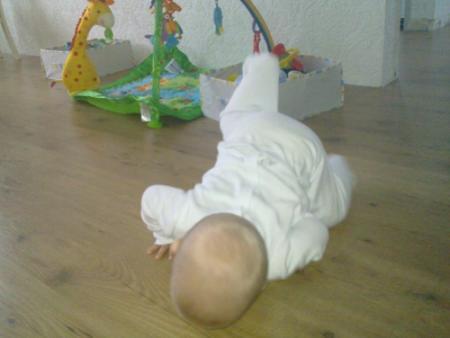 Bild zu