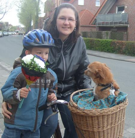 Bild zu