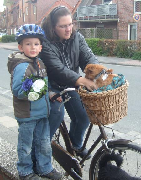 Bild zu