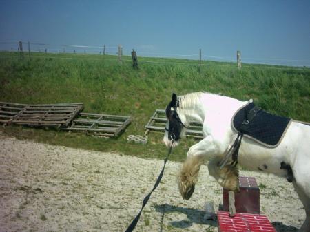 Bild zu 