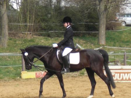 Bild zu 