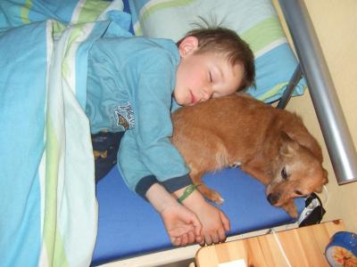 Bild zu das lezte foto - Baby Forum - Allgemeine Themen