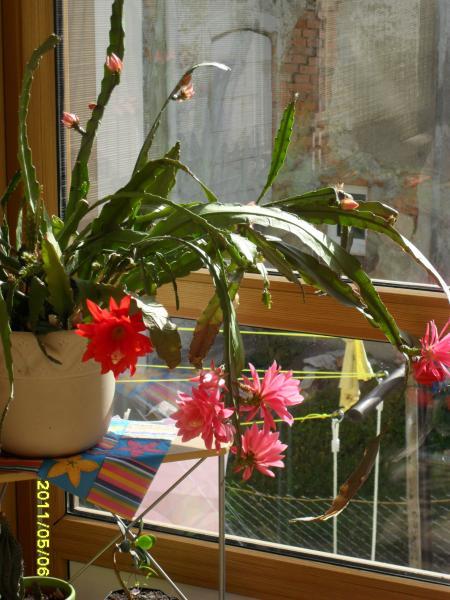 Bild zu 