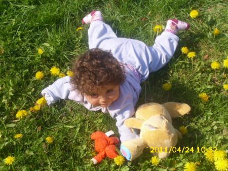Bild zu