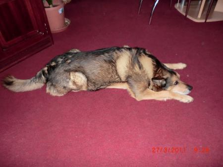 Bild zu