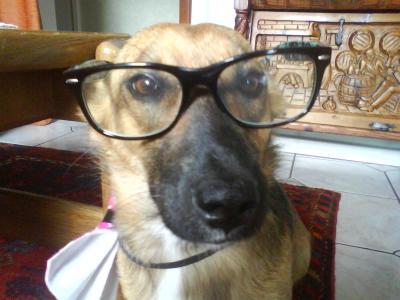 Bild zu EPddWnb Der Professor..LOL - Baby Forum - Allgemeine Themen