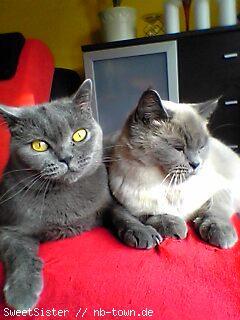 Bild zu 