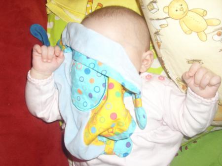 Bild zu