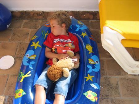 Bild zu