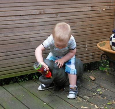 Bild zu tierquälerei - Baby Forum - Allgemeine Themen