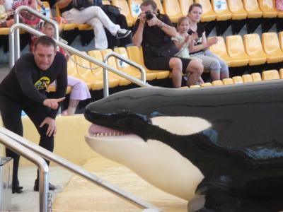 Bild zu @tollpatsch wegen Loro Parque - Baby Forum - Allgemeine Themen