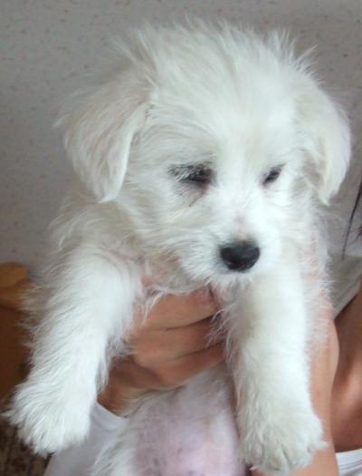 Bild zu ich hab weder n hundi :) - Baby Forum - Allgemeine Themen