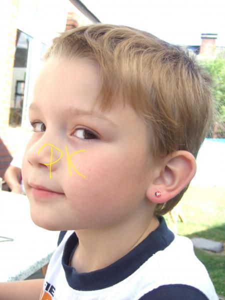 Bild zu 