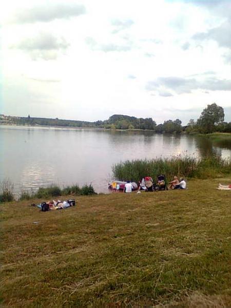 Bild zu