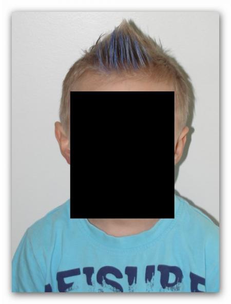 Bild zu