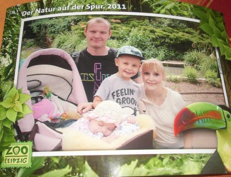 Bild zu