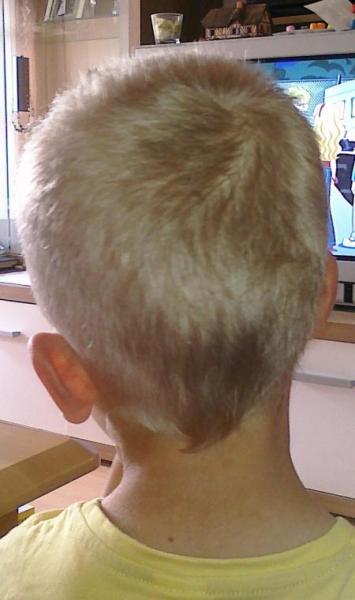 Bild zu 