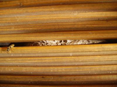 Bild zu So, nun glaubt es auch mein Freund - Baby Forum - Allgemeine Themen