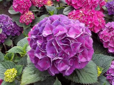 Bild zu Das musste ich einfach fotografieren :-) - Baby Forum - Allgemeine Themen