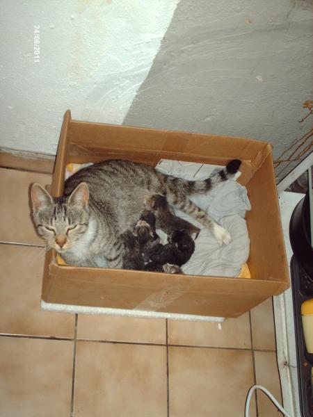 Bild zu 