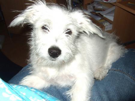 Bild zu 