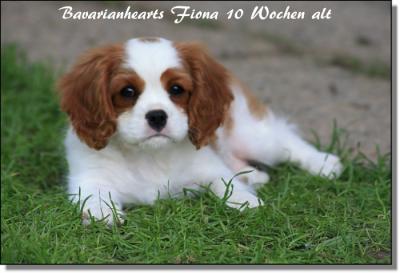 Bild zu schaut mal unsere neue Mitbewohnerin zieht bald ein... - Baby Forum - Allgemeine Themen