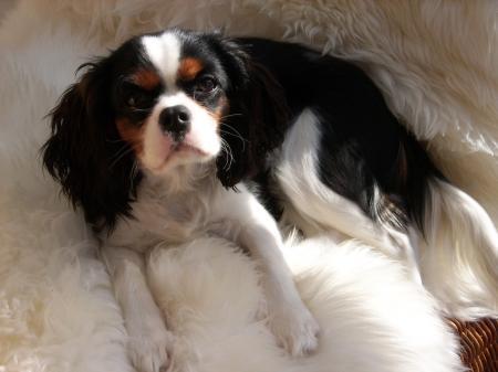 Bild zu