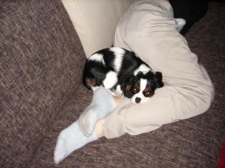 Bild zu