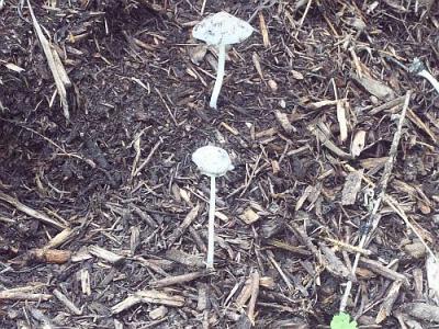 Bild zu Es ist Herbst! - Baby Forum - Allgemeine Themen