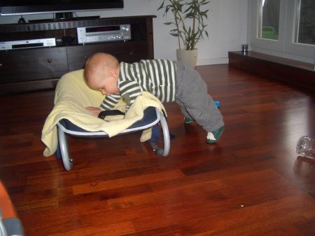 Bild zu